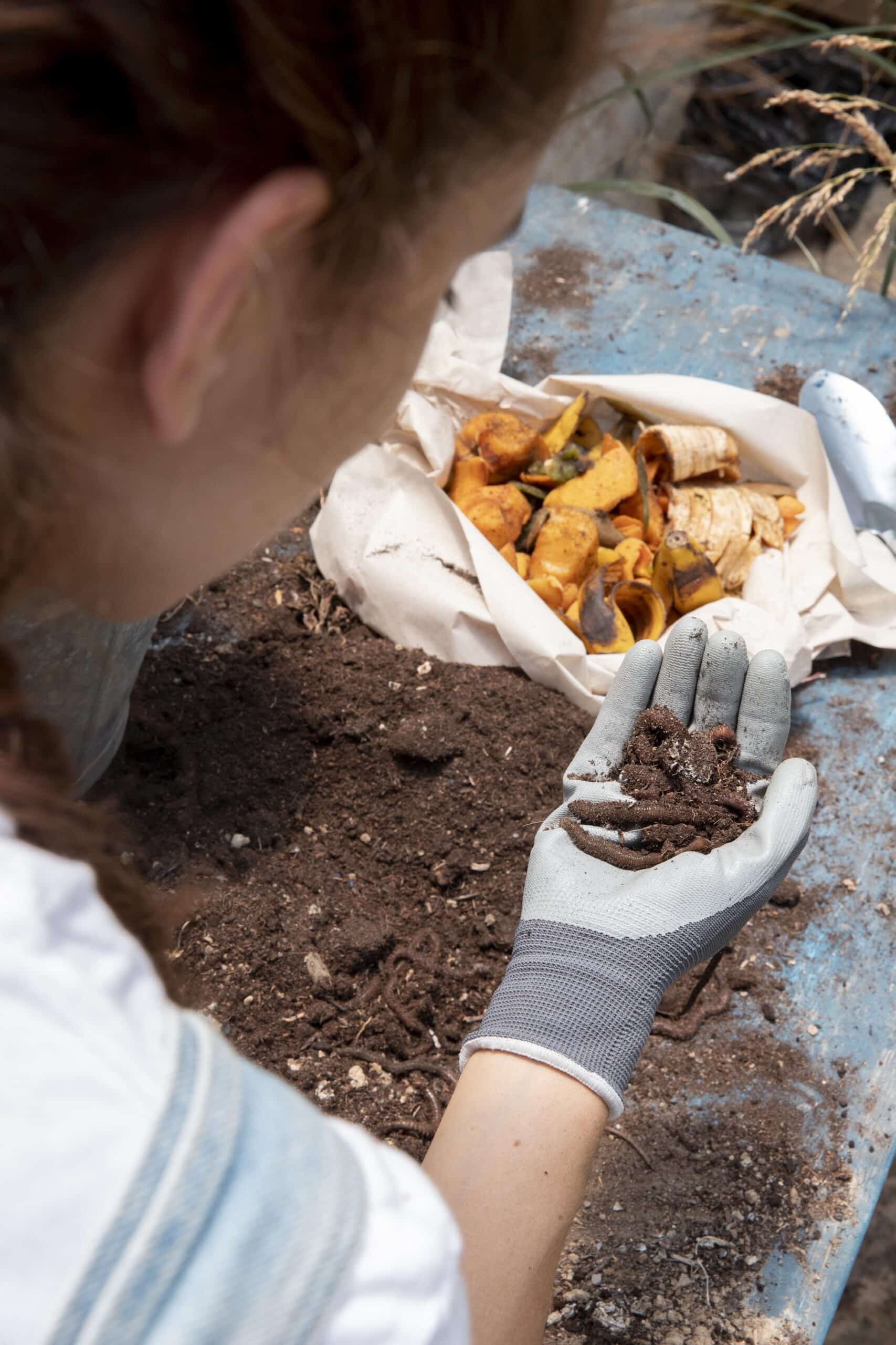 concept-de-nature-morte-de-compost-avec-des-vers-de-terre copie